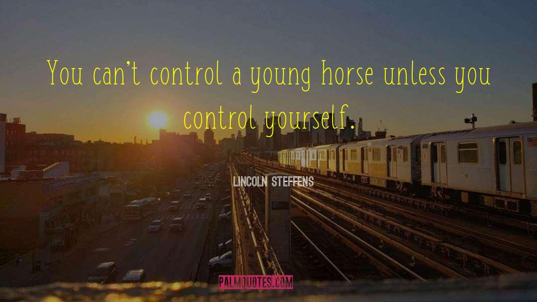 Lincoln Steffens Quotes: You can't control a young