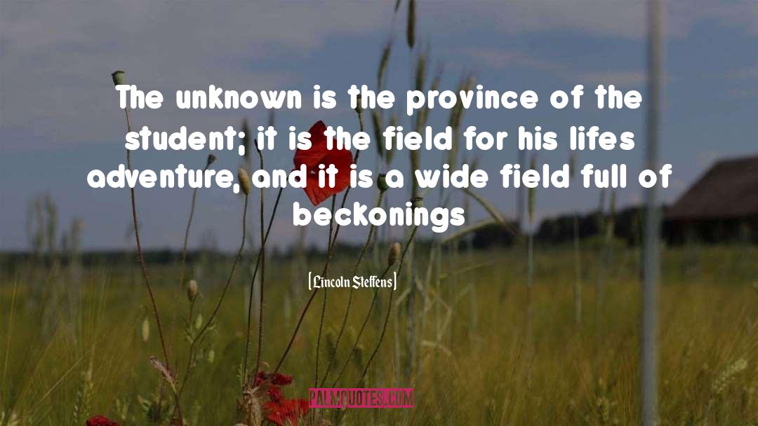 Lincoln Steffens Quotes: The unknown is the province