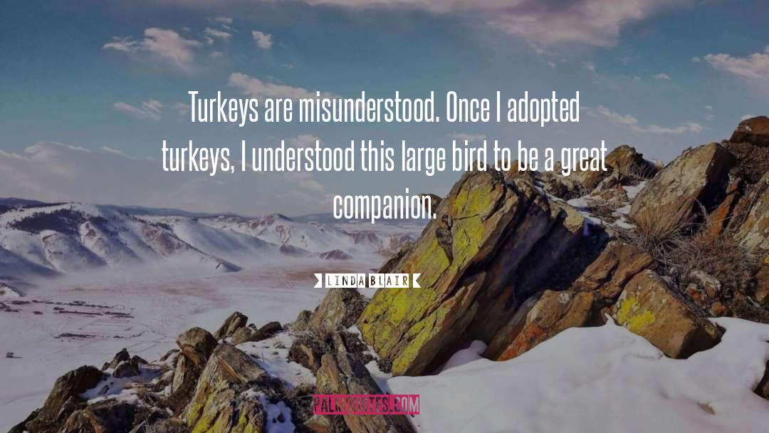 Linda Blair Quotes: Turkeys are misunderstood. Once I