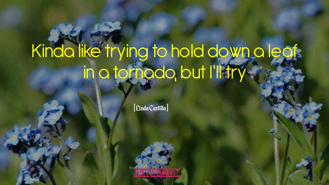 Linda Castillo Quotes: Kinda like trying to hold