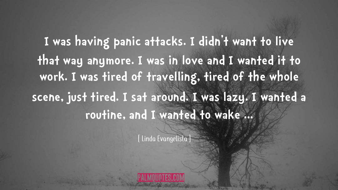 Linda Evangelista Quotes: I was having panic attacks.