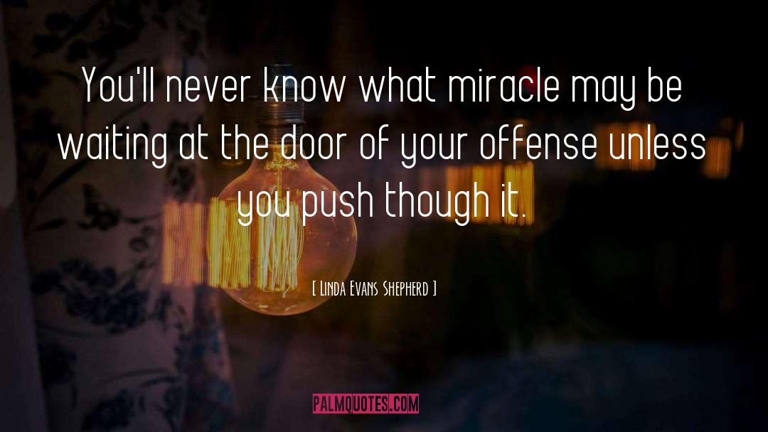 Linda Evans Shepherd Quotes: You'll never know what miracle