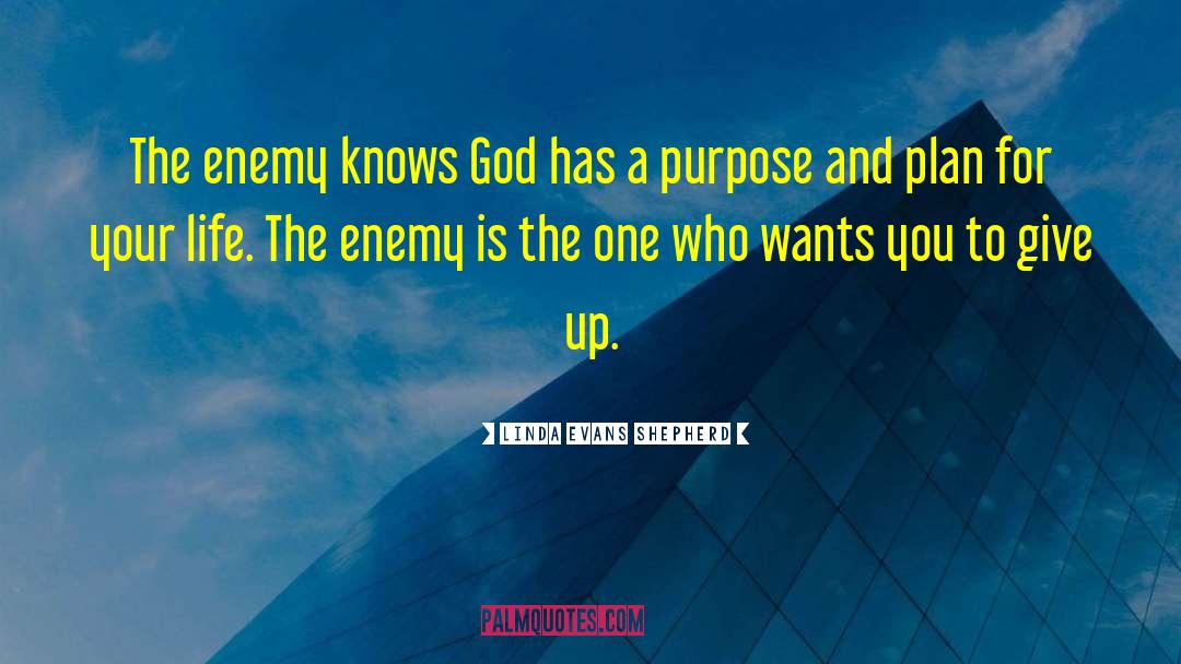 Linda Evans Shepherd Quotes: The enemy knows God has
