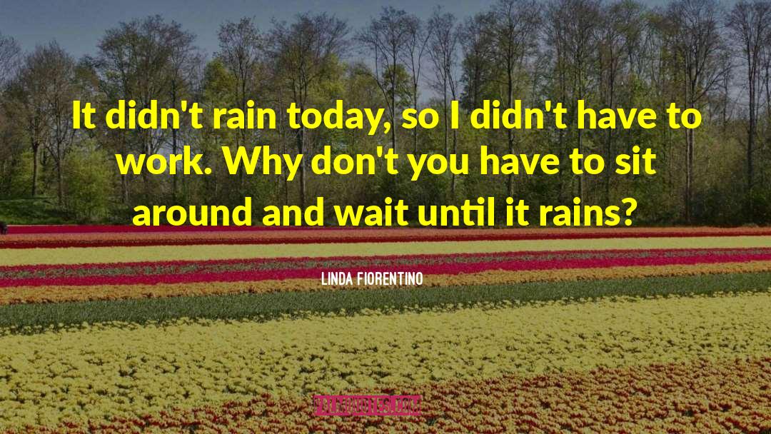 Linda Fiorentino Quotes: It didn't rain today, so