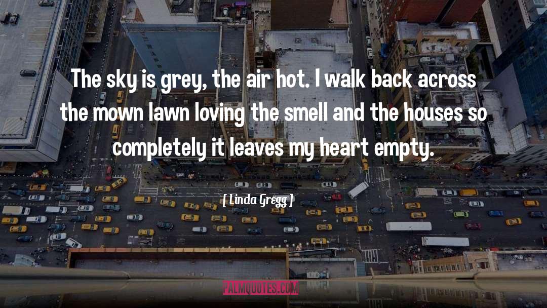 Linda Gregg Quotes: The sky is grey, the