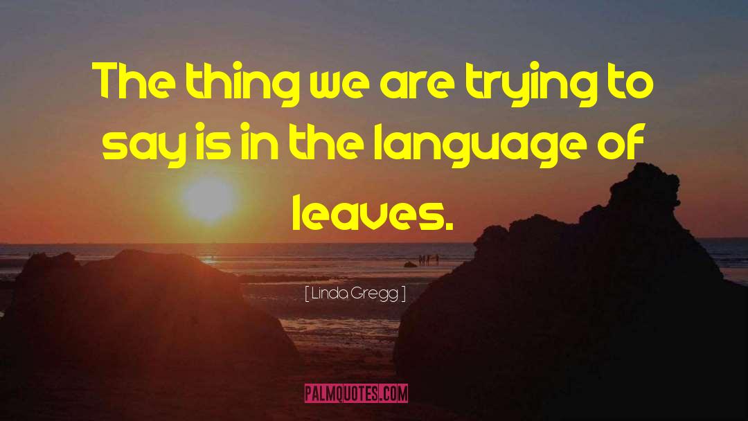 Linda Gregg Quotes: The thing we are trying