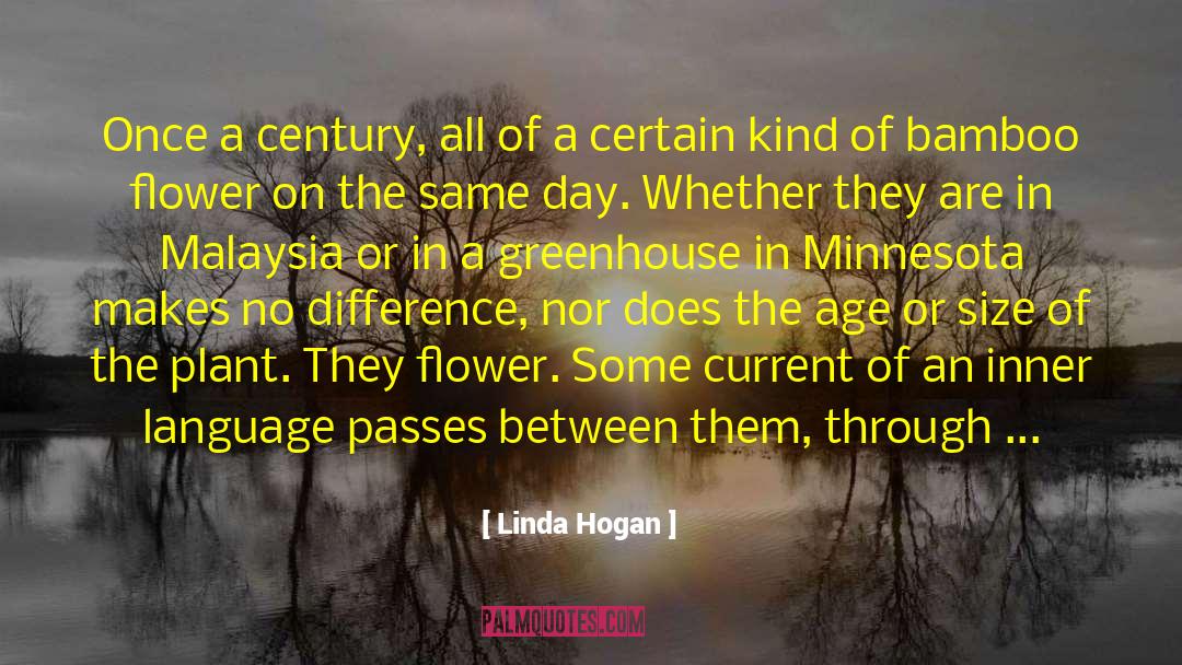 Linda Hogan Quotes: Once a century, all of