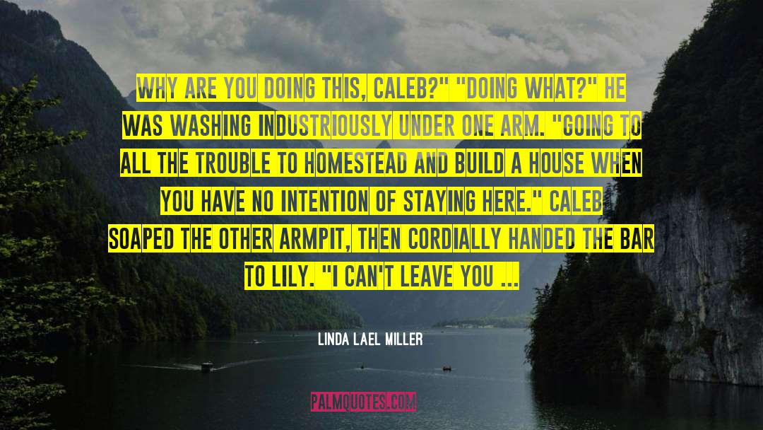 Linda Lael Miller Quotes: Why are you doing this,