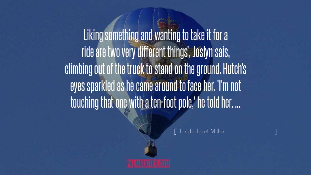 Linda Lael Miller Quotes: Liking something and wanting to