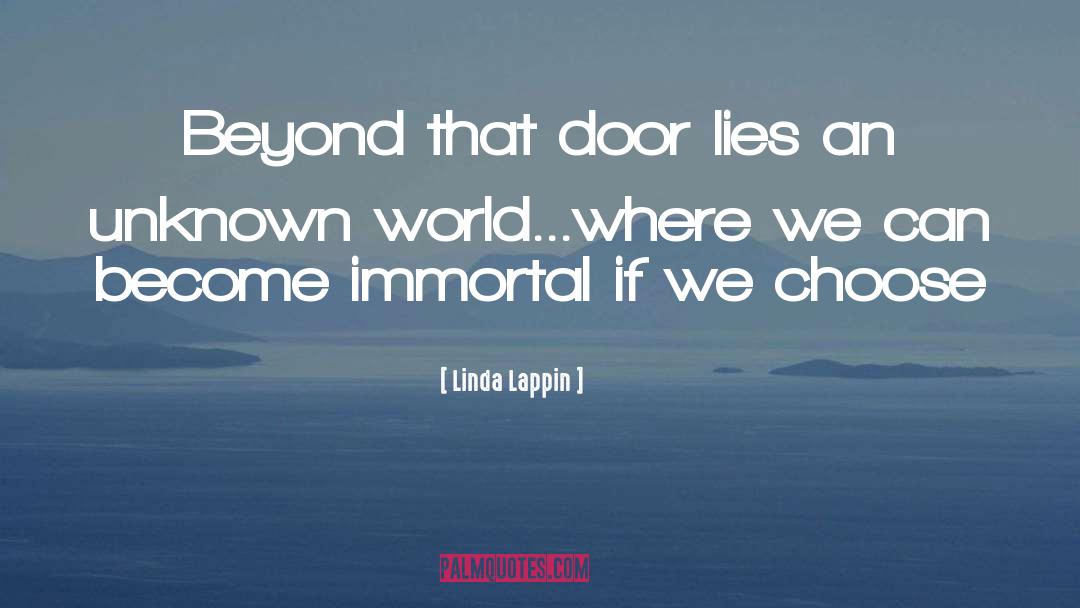 Linda Lappin Quotes: Beyond that door lies an