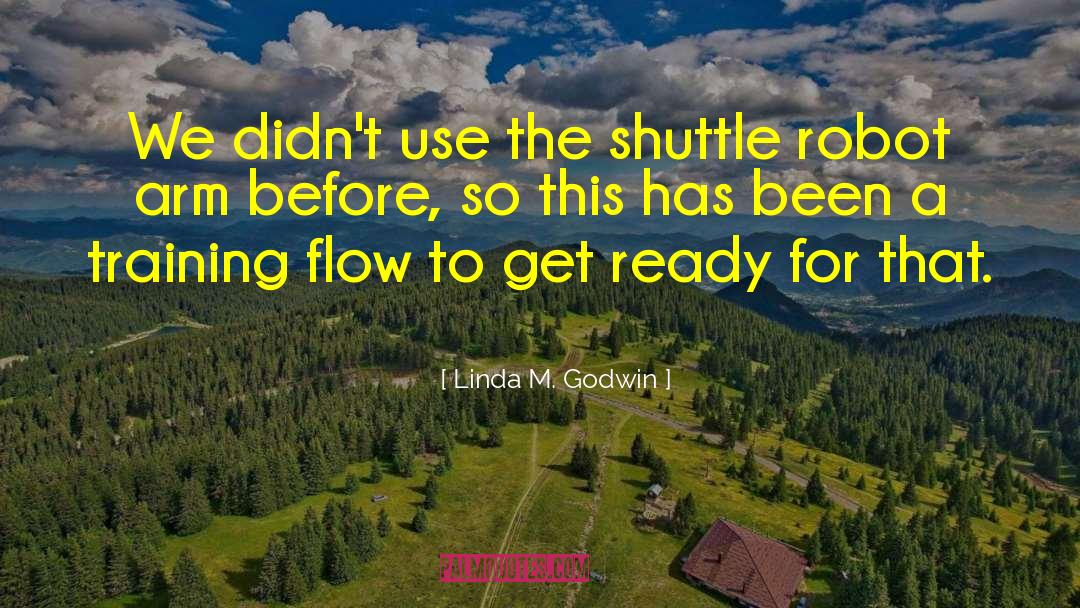 Linda M. Godwin Quotes: We didn't use the shuttle
