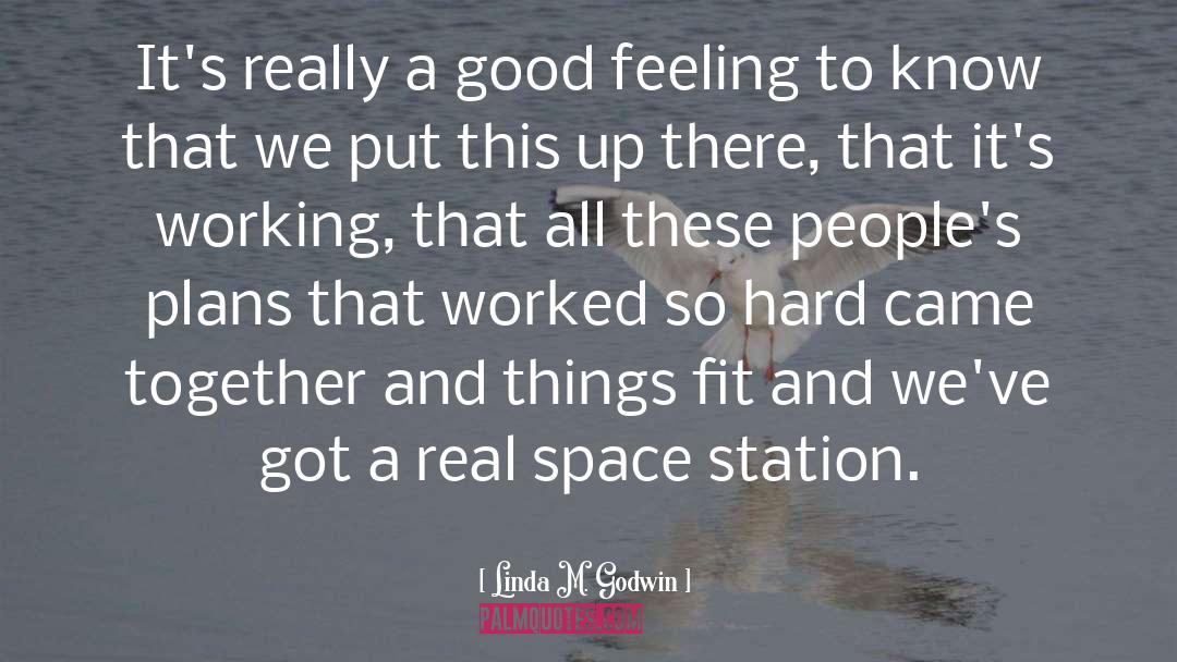 Linda M. Godwin Quotes: It's really a good feeling