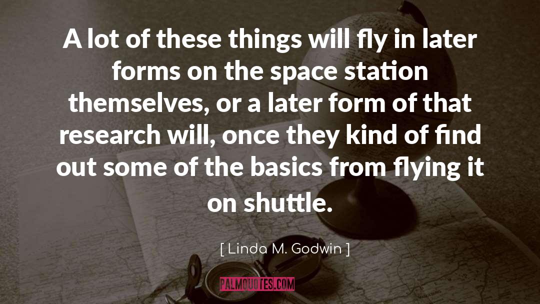 Linda M. Godwin Quotes: A lot of these things