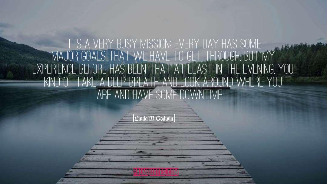 Linda M. Godwin Quotes: It is a very busy