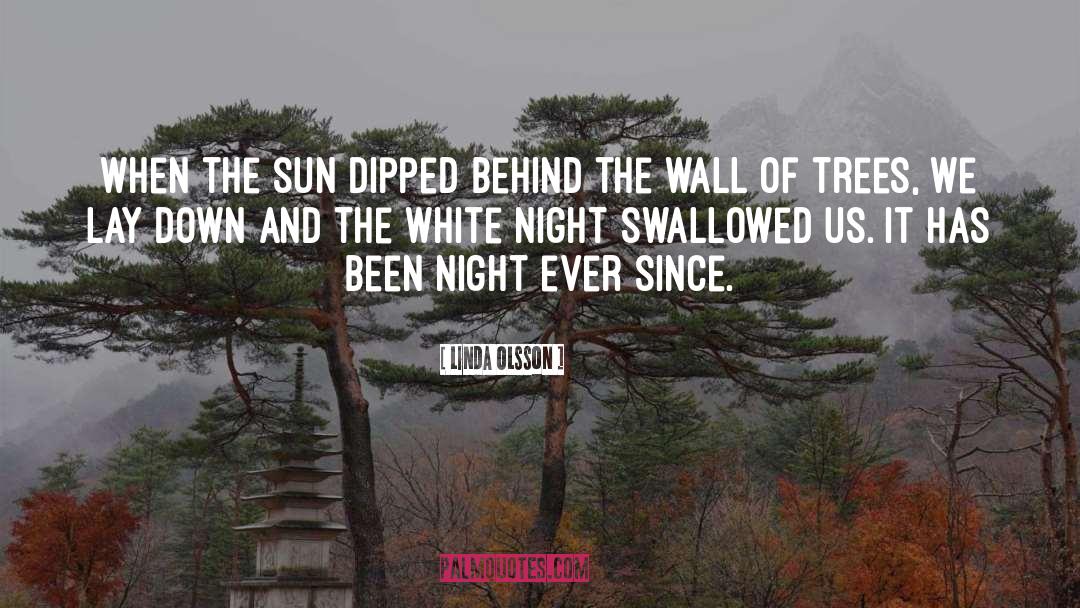 Linda Olsson Quotes: When the sun dipped behind