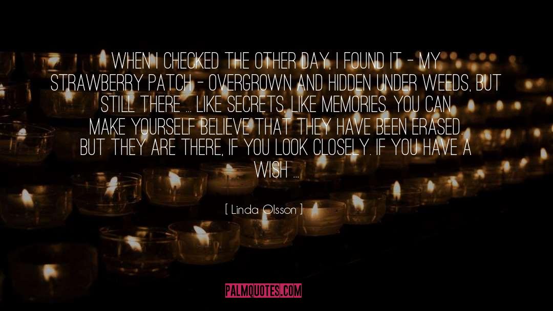 Linda Olsson Quotes: When I checked the other