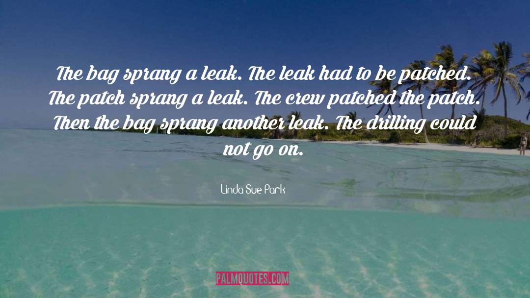 Linda Sue Park Quotes: The bag sprang a leak.