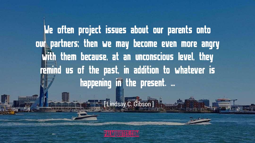 Lindsay C. Gibson Quotes: We often project issues about