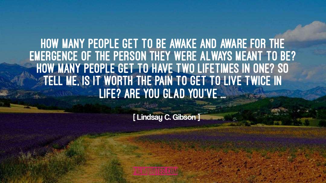 Lindsay C. Gibson Quotes: How many people get to