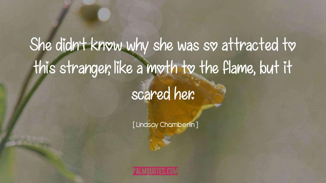 Lindsay Chamberlin Quotes: She didn't know why she