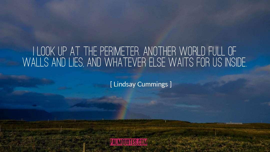 Lindsay Cummings Quotes: I look up at the