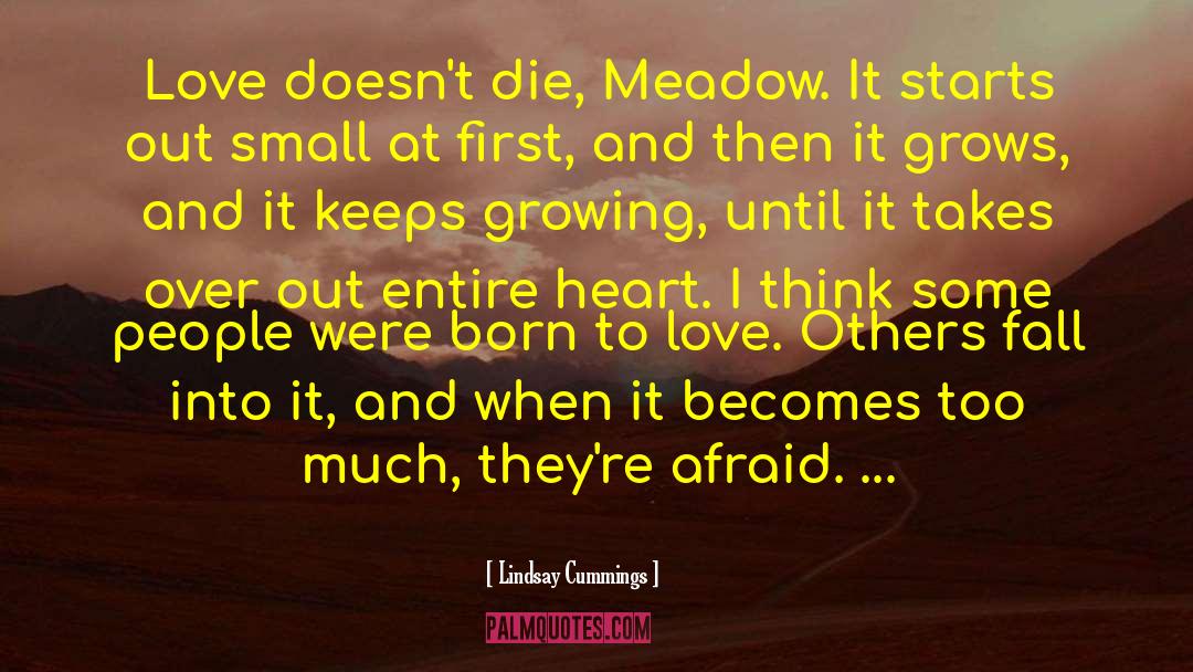 Lindsay Cummings Quotes: Love doesn't die, Meadow. It