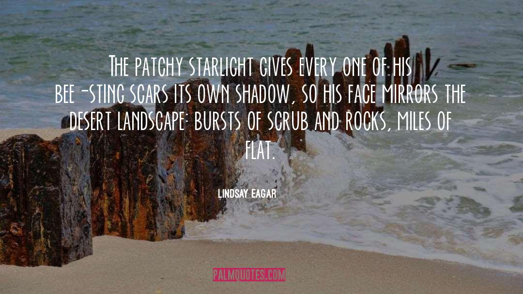 Lindsay Eagar Quotes: The patchy starlight gives every