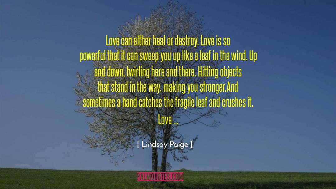 Lindsay Paige Quotes: Love can either heal or