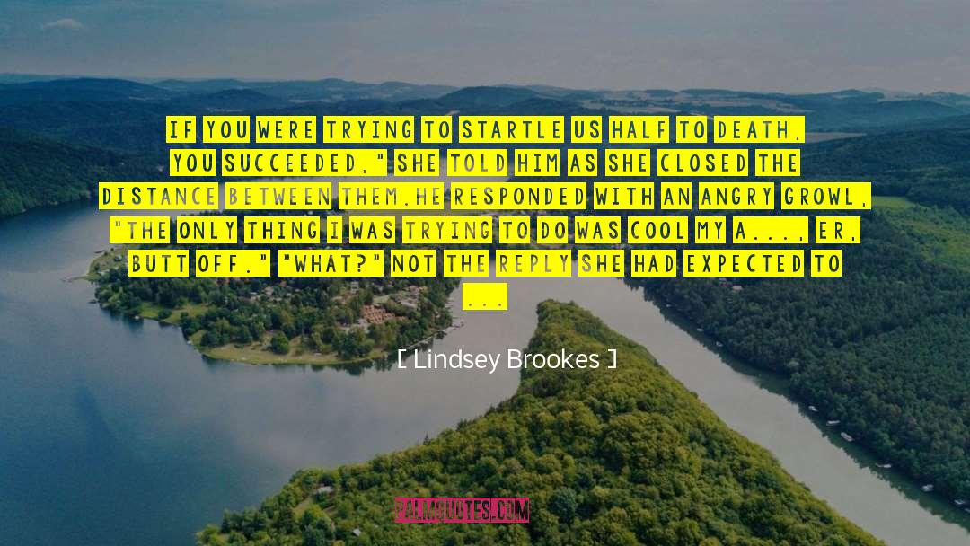 Lindsey Brookes Quotes: If you were trying to