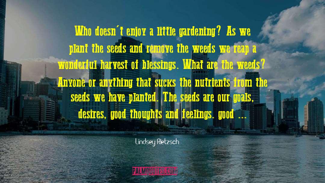 Lindsey Rietzsch Quotes: Who doesn't enjoy a little