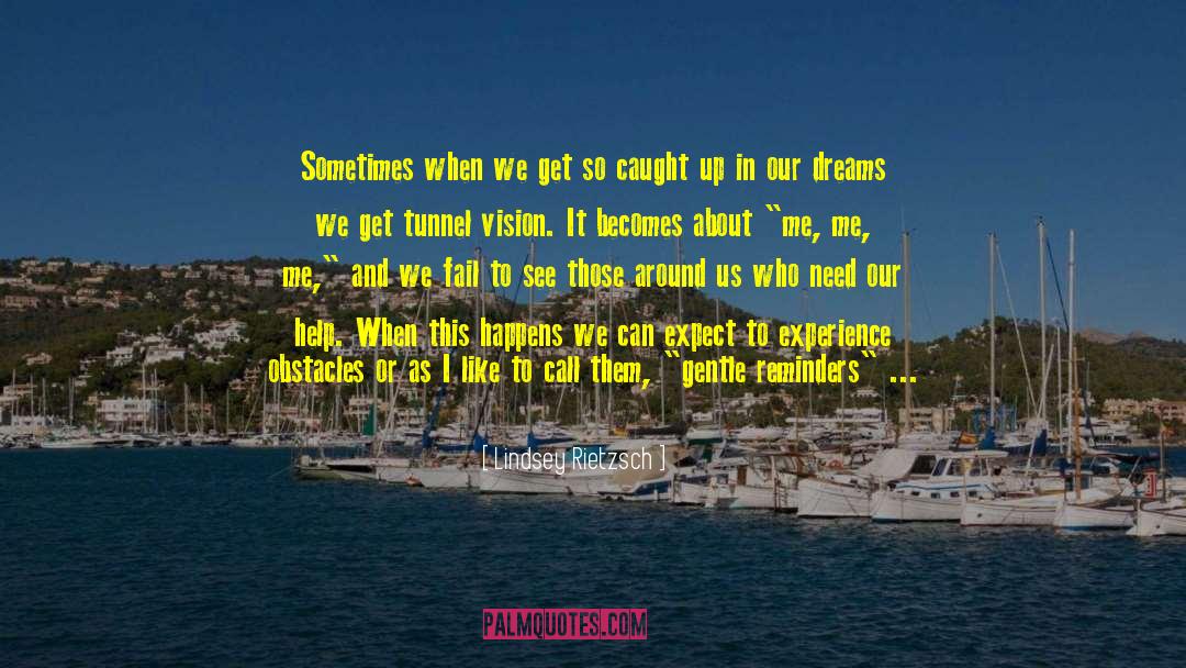 Lindsey Rietzsch Quotes: Sometimes when we get so