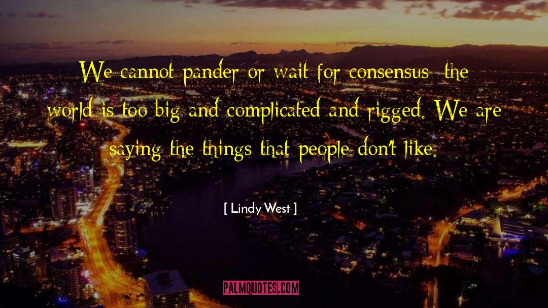 Lindy West Quotes: We cannot pander or wait