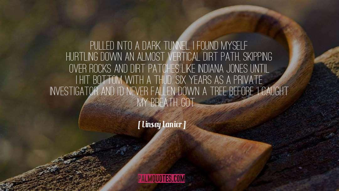 Linsey Lanier Quotes: pulled into a dark tunnel.