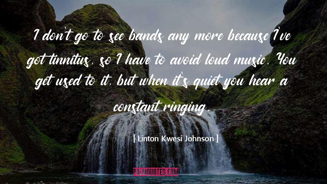 Linton Kwesi Johnson Quotes: I don't go to see