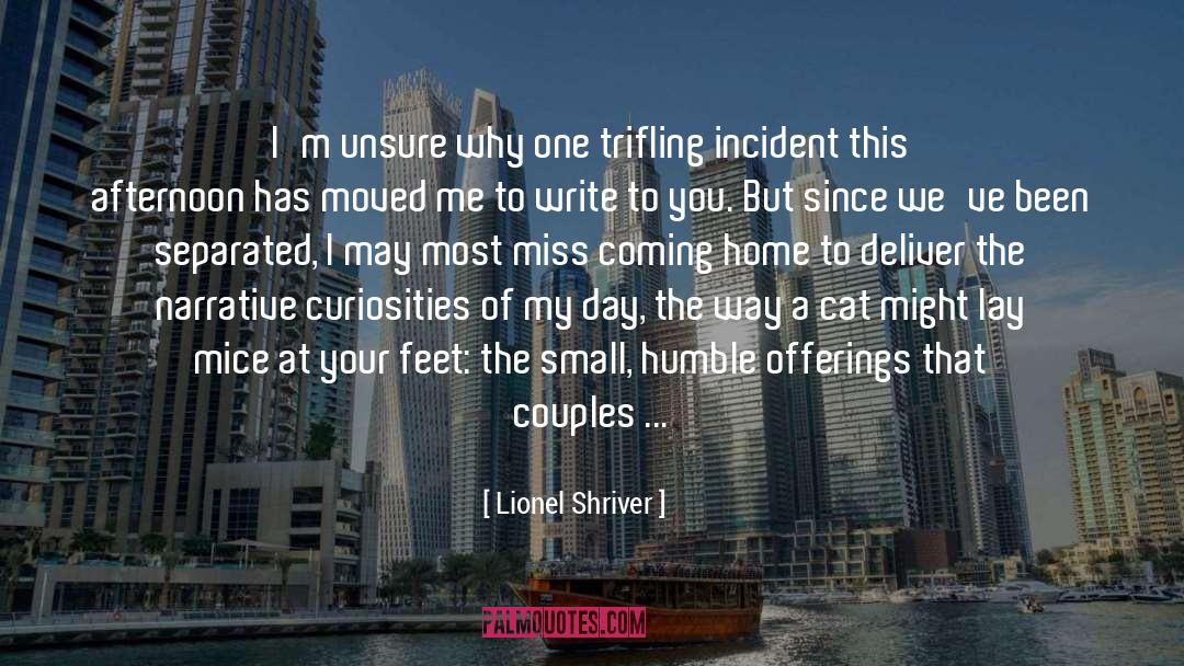 Lionel Shriver Quotes: I'm unsure why one trifling