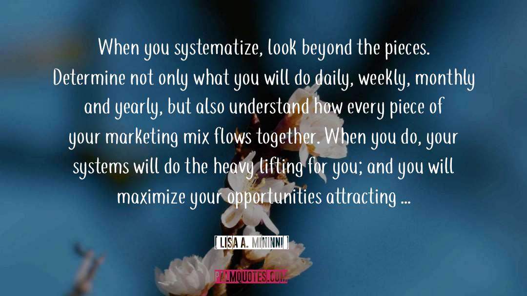 Lisa A. Mininni Quotes: When you systematize, look beyond