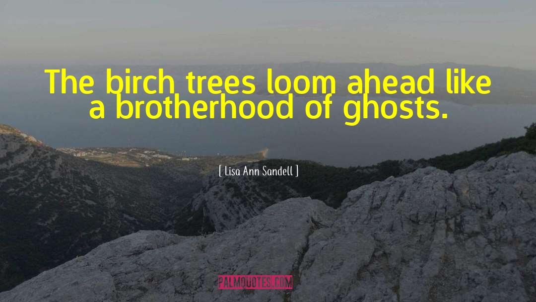 Lisa Ann Sandell Quotes: The birch trees loom ahead