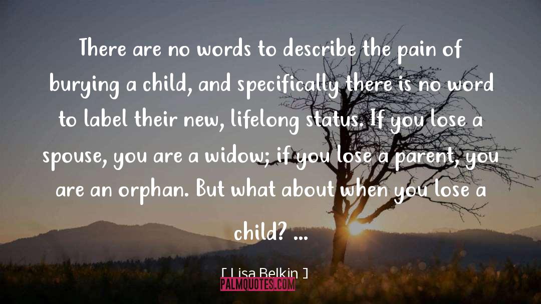 Lisa Belkin Quotes: There are no words to