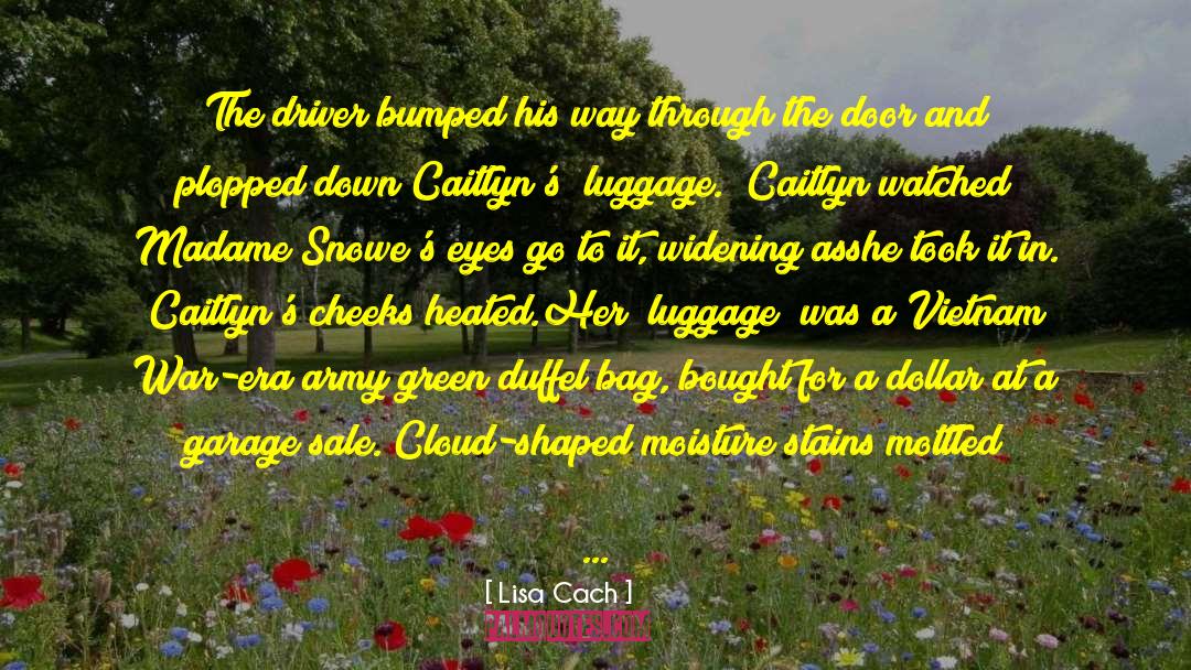 Lisa Cach Quotes: The driver bumped his way