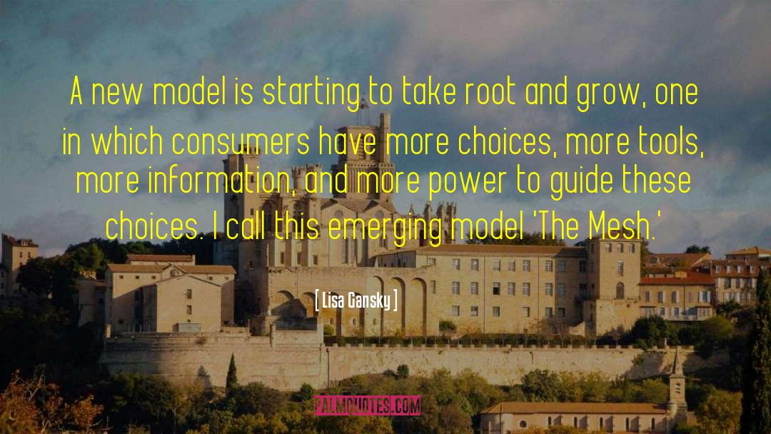 Lisa Gansky Quotes: A new model is starting