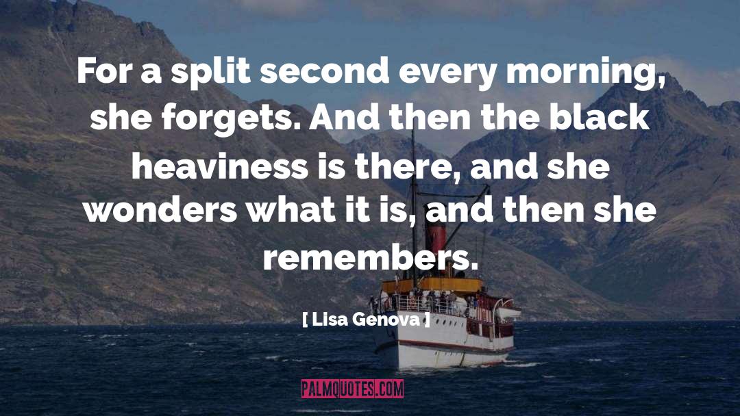Lisa Genova Quotes: For a split second every