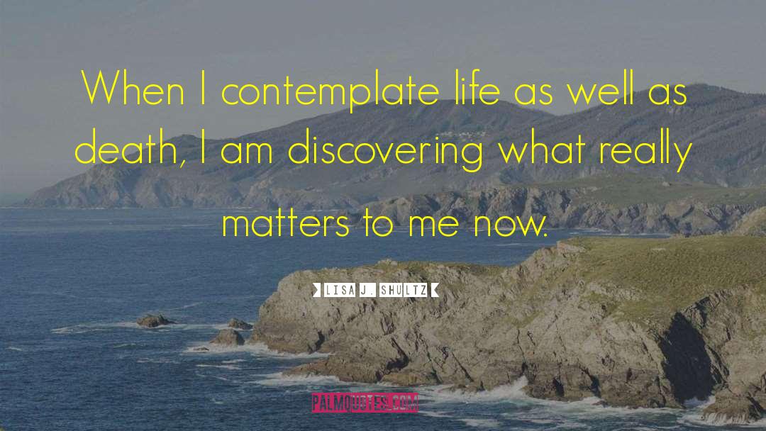 Lisa J. Shultz Quotes: When I contemplate life as