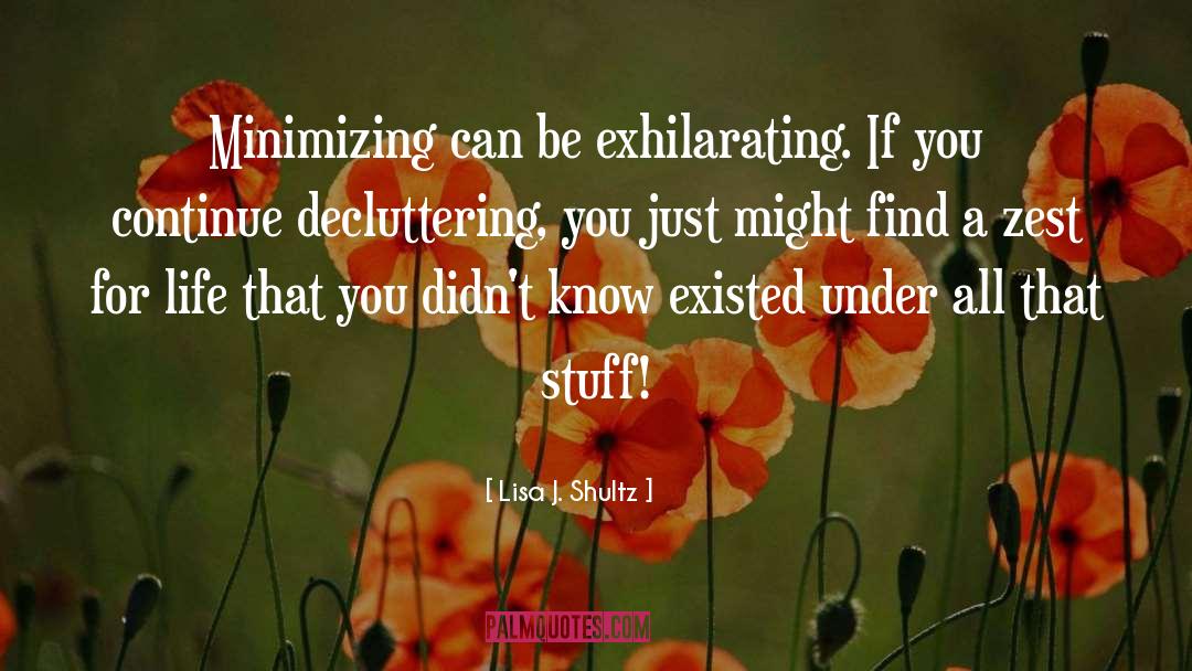 Lisa J. Shultz Quotes: Minimizing can be exhilarating. If