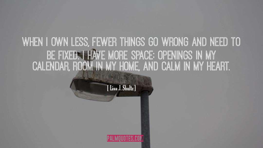 Lisa J. Shultz Quotes: When I own less, fewer