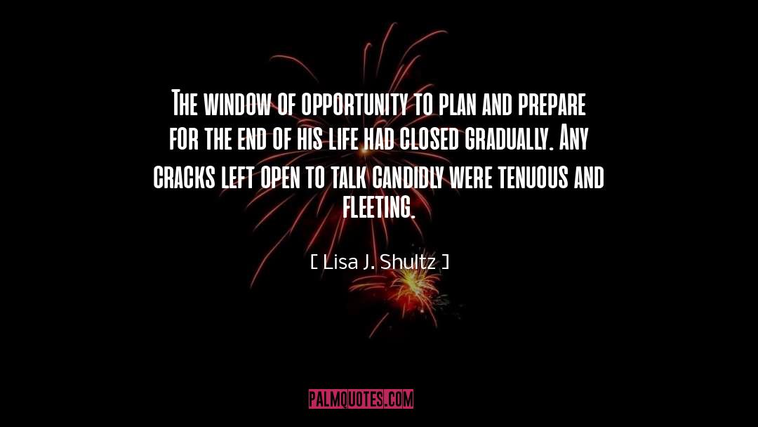 Lisa J. Shultz Quotes: The window of opportunity to