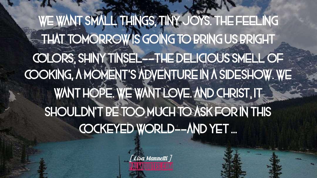 Lisa Mannetti Quotes: We want small things, tiny