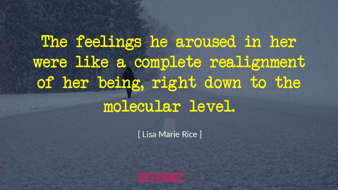 Lisa Marie Rice Quotes: The feelings he aroused in