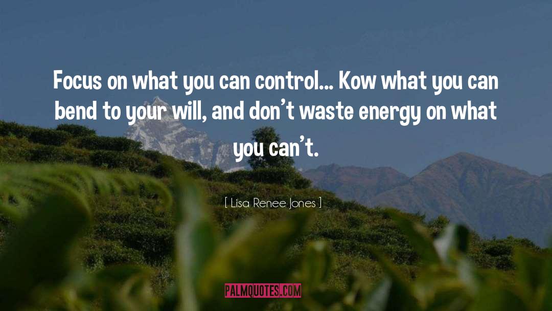Lisa Renee Jones Quotes: Focus on what you can