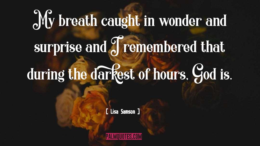 Lisa Samson Quotes: My breath caught in wonder