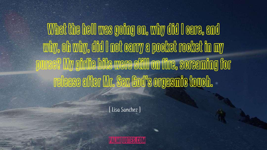 Lisa Sanchez Quotes: What the hell was going